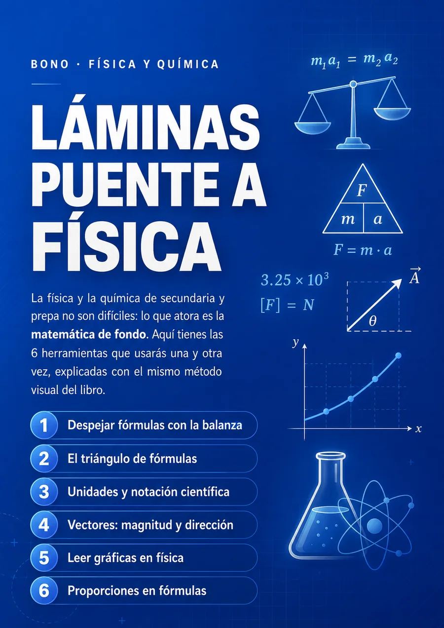 Portada de Láminas Puente a Física