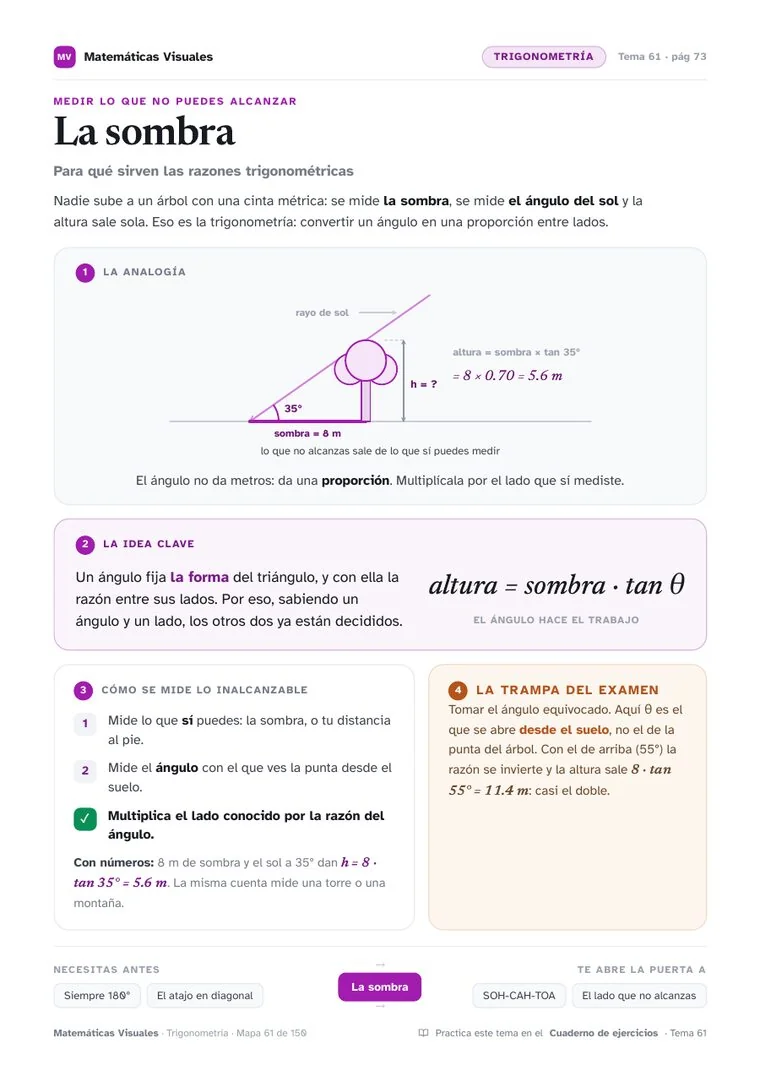 Lámina: La sombra, de Trigonometría